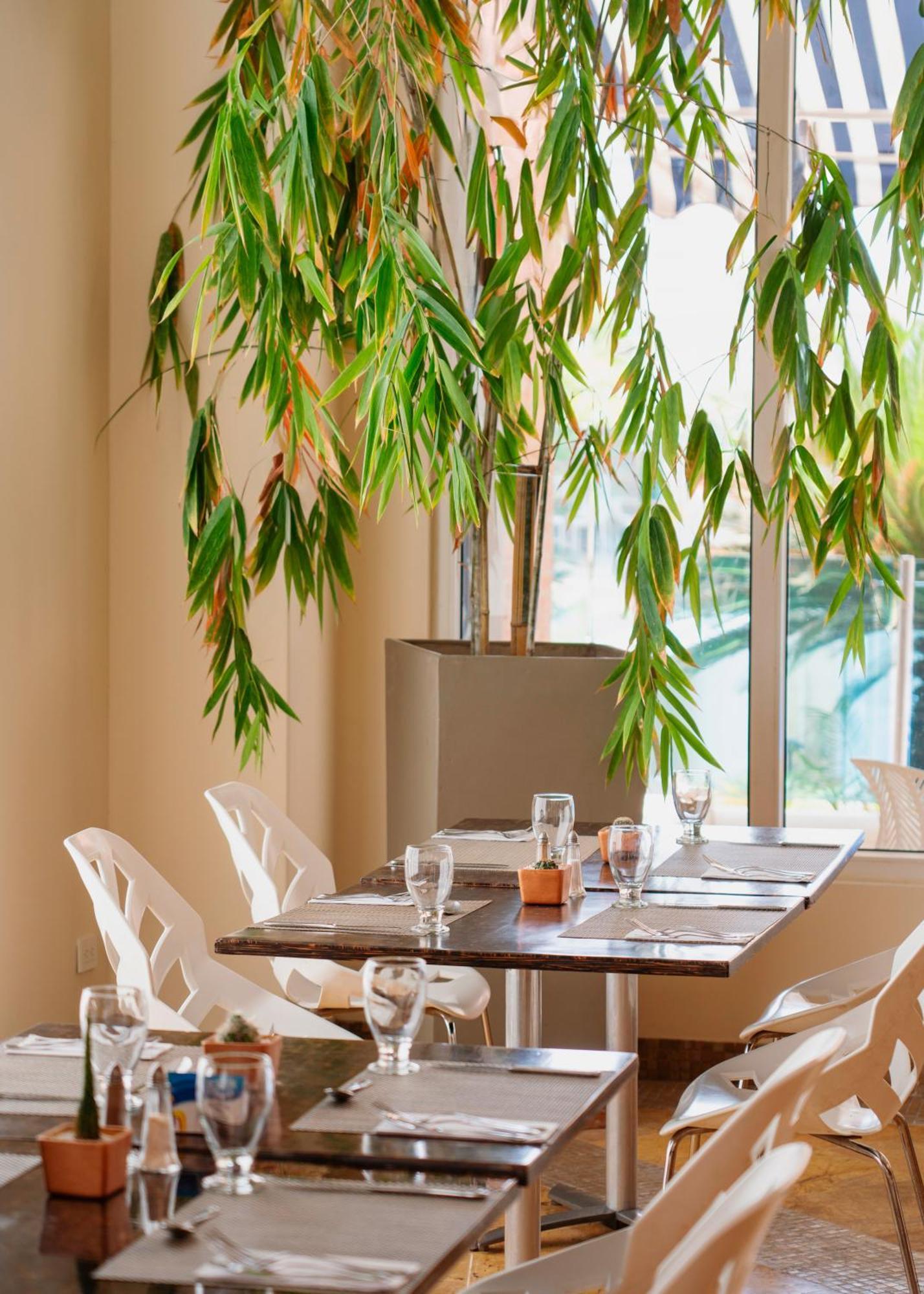 Hotel Dann Carlton Barranquilla Y Centro De Convenciones מראה חיצוני תמונה Interior of the restaurant